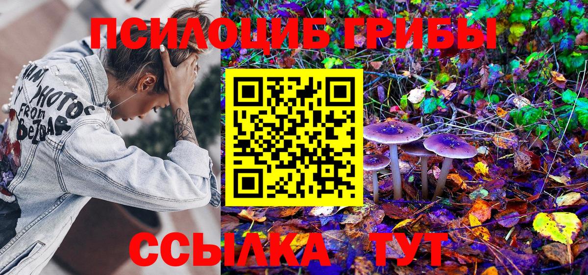 Галлюциногенные грибы прущие грибы Волгоград