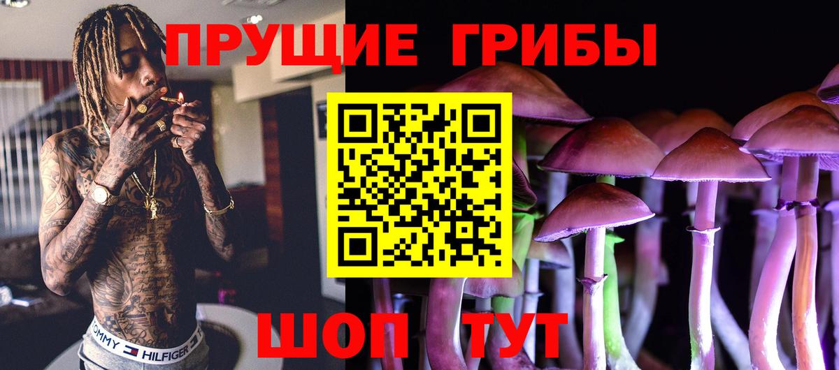 Волгоград  Псилоцибиновые грибы прущие грибы  Вход с VPN 